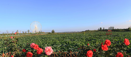 õ�庣������